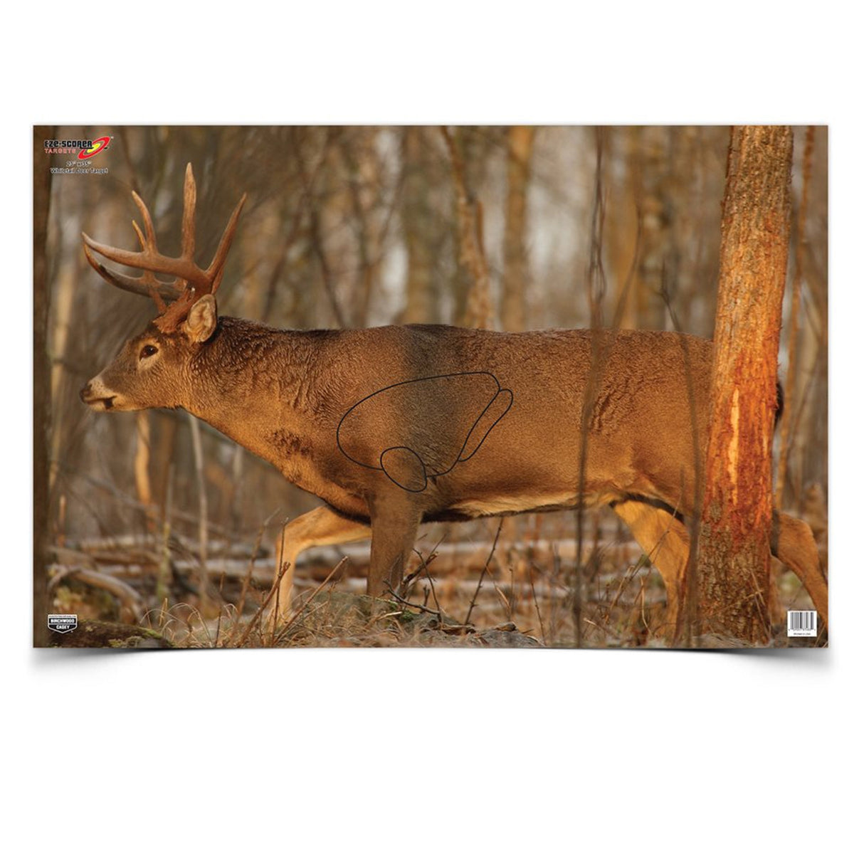 BIRCHWOOD CASEY EZE-SCORER 23"X35" WHITETAIL DEER TARGET