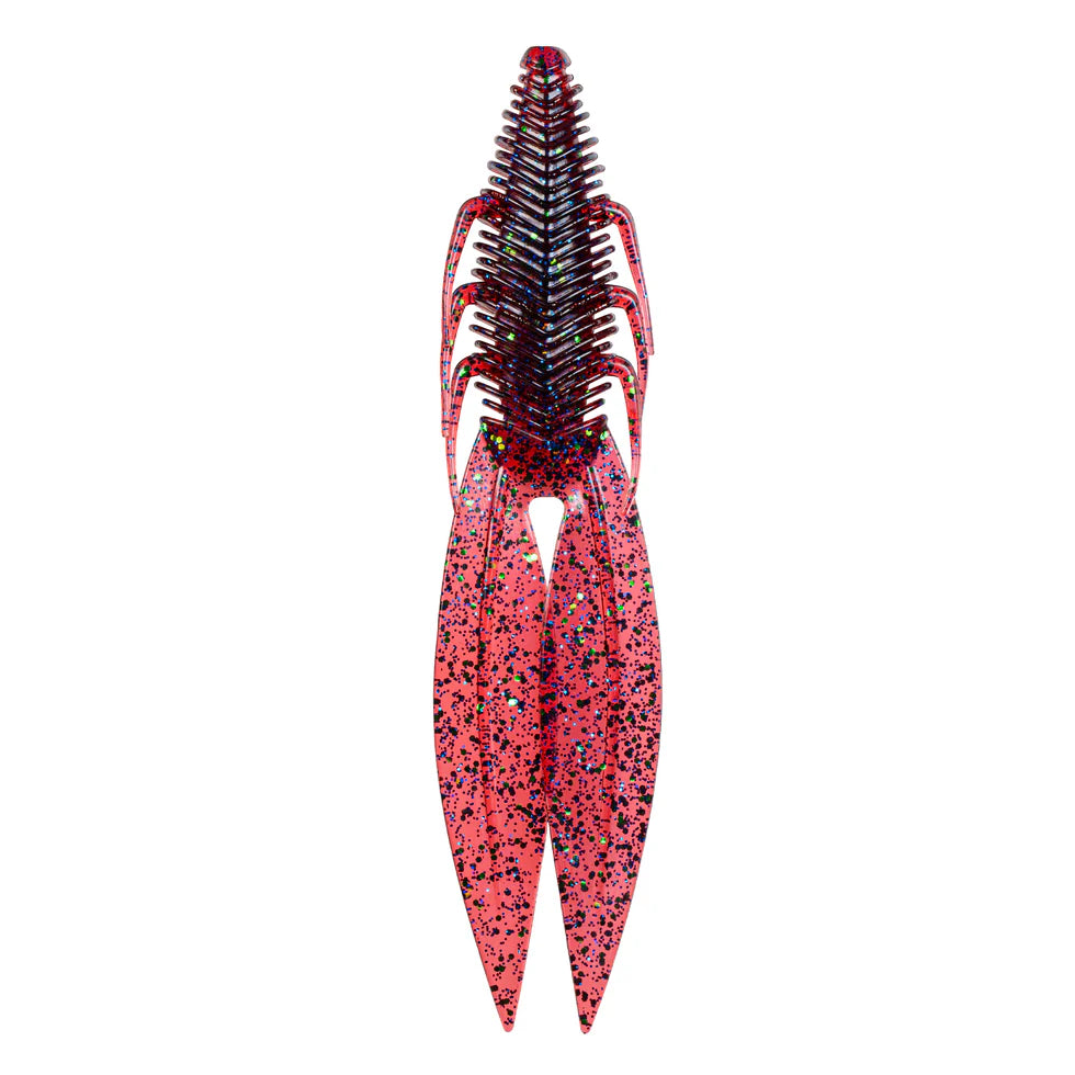 6TH SENSE BODEGA BUG