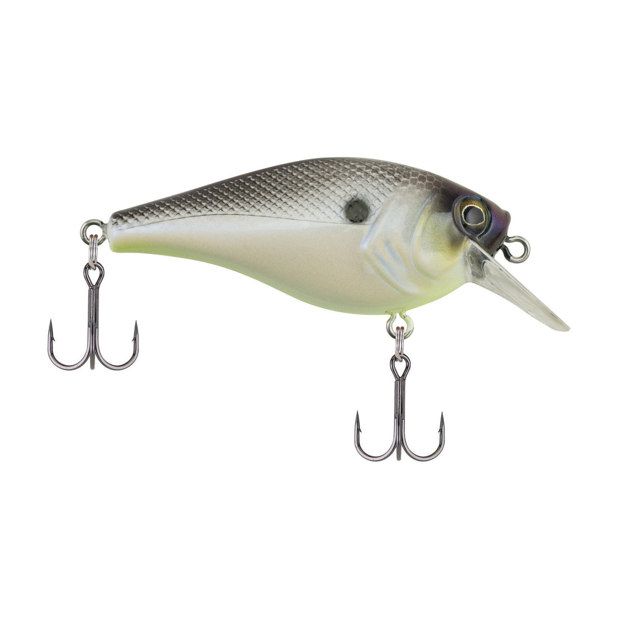 BERKLEY SQUAREBULL LURE