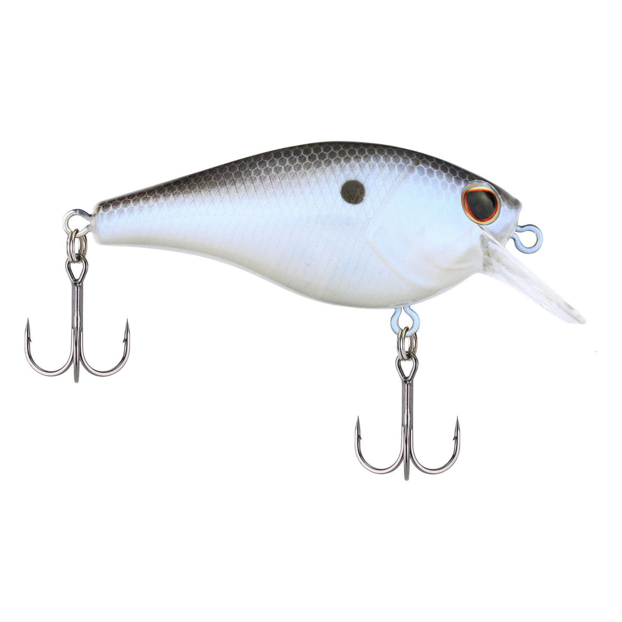 BERKLEY SQUAREBULL LURE