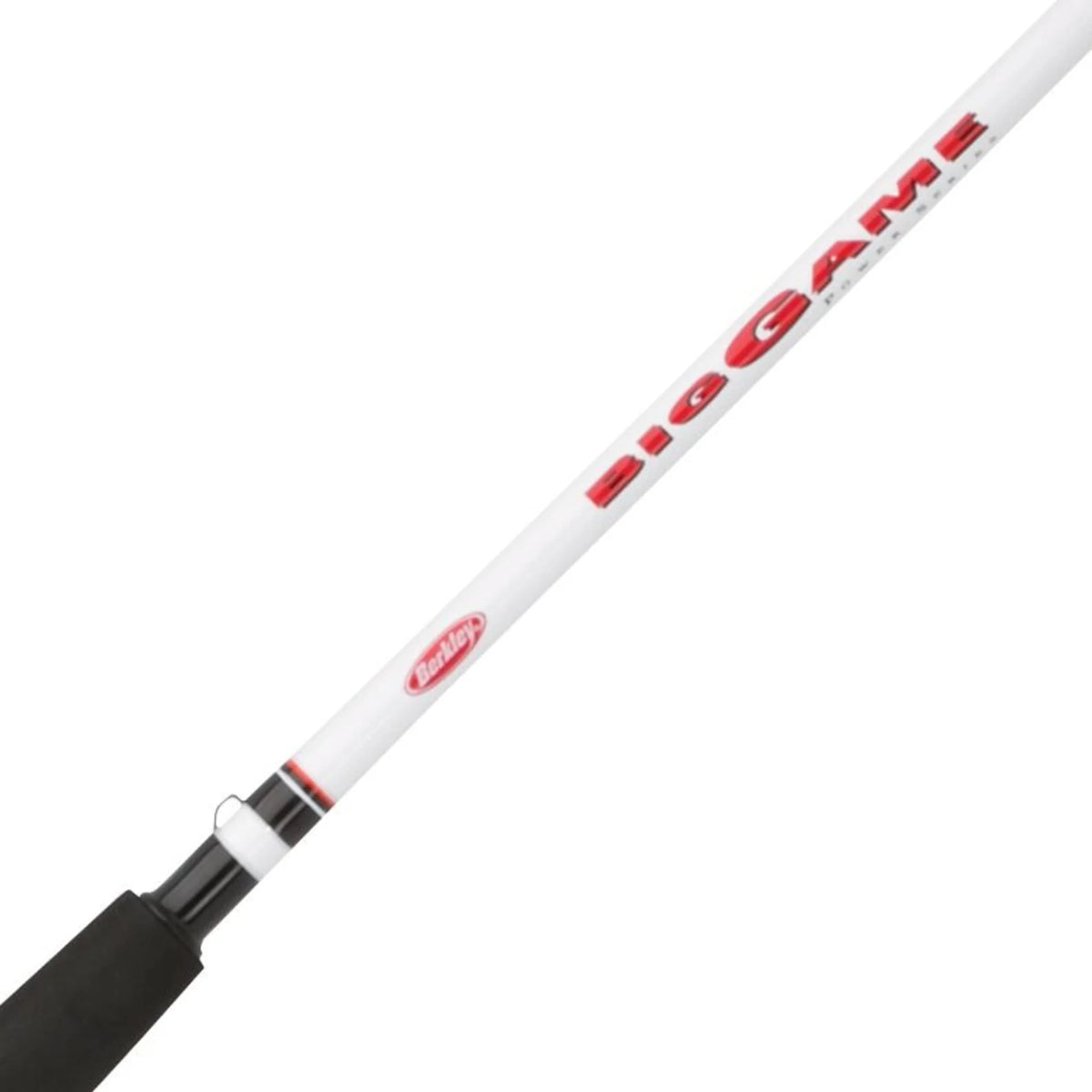 BIG GAME SPINNING COMBO
