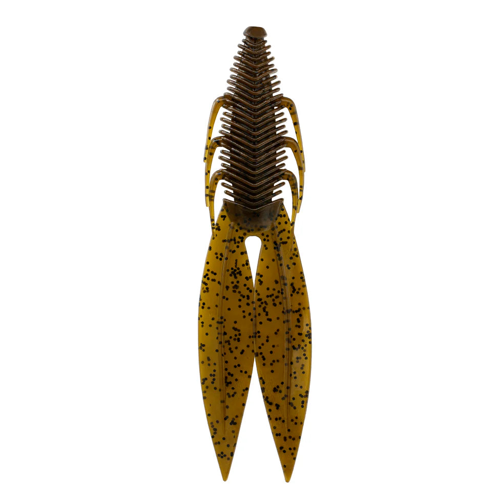 6TH SENSE BODEGA BUG