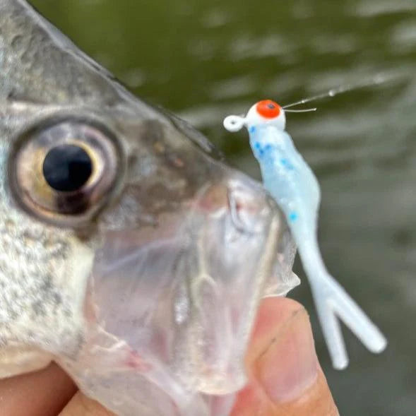 CRAPPIE SLAMMERS SPLIT TAIL SHAD