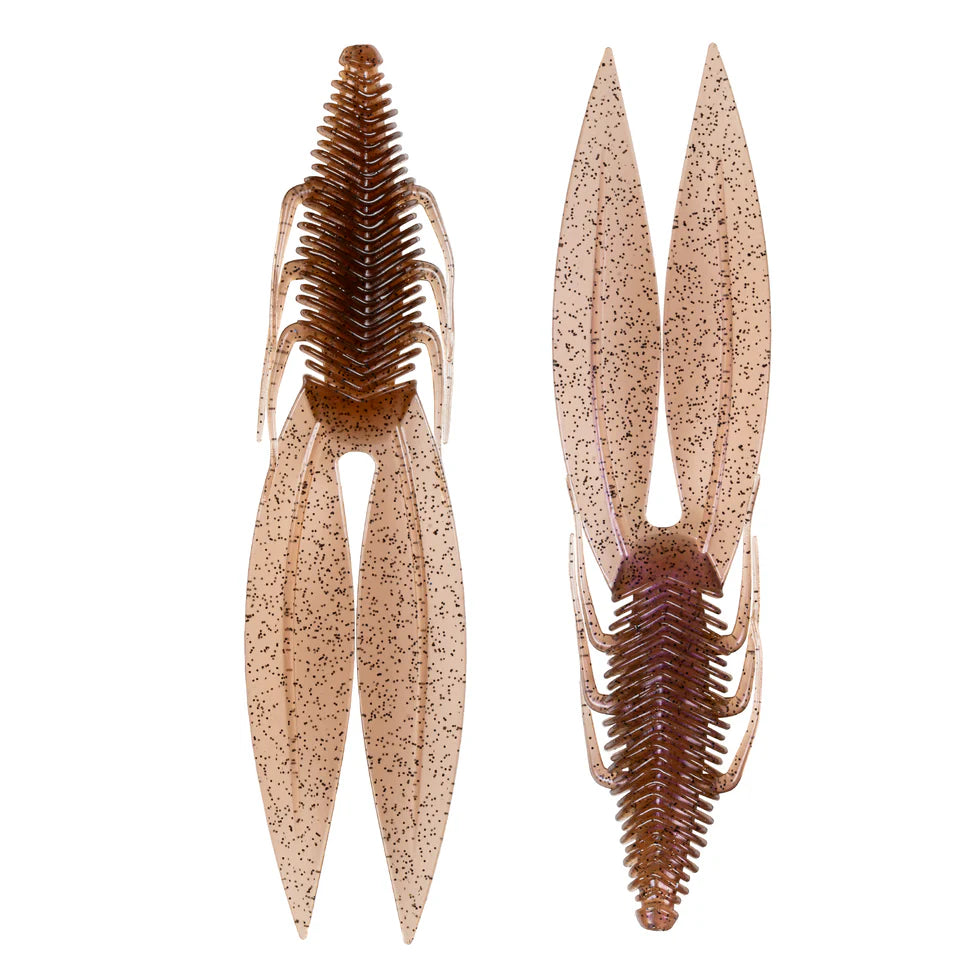 6TH SENSE BODEGA BUG