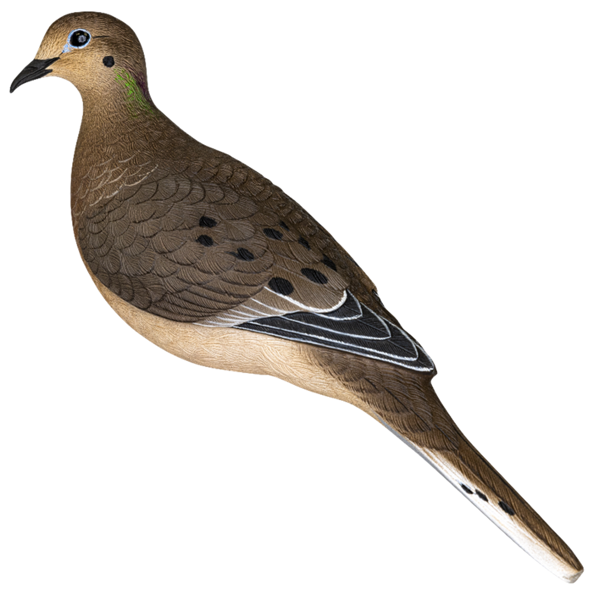 AVIAN X AXP FULL BODY DOVES