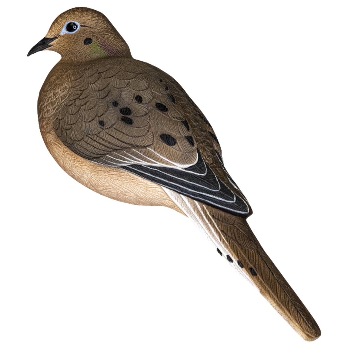 AVIAN X AXP FULL BODY DOVES