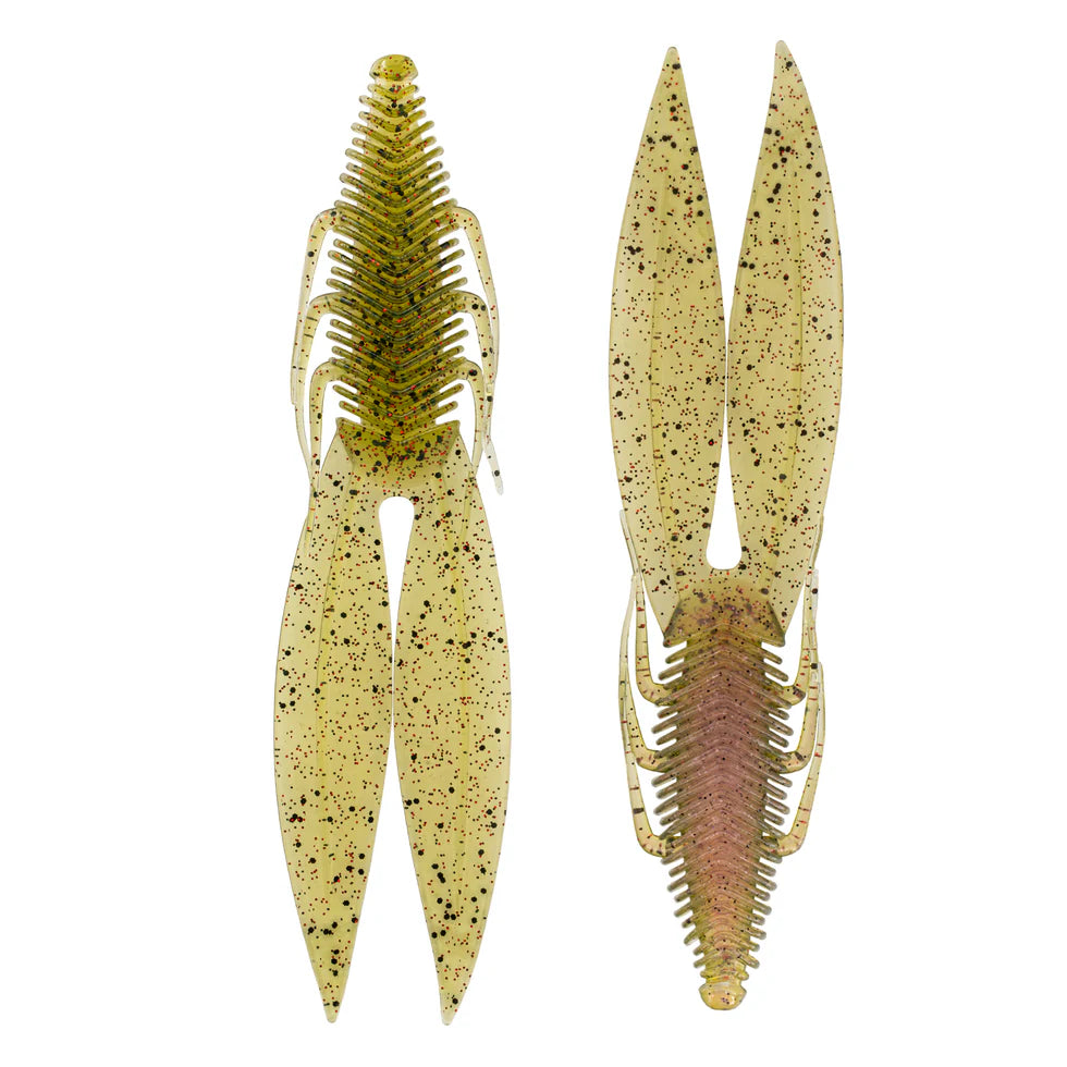 6TH SENSE BODEGA BUG