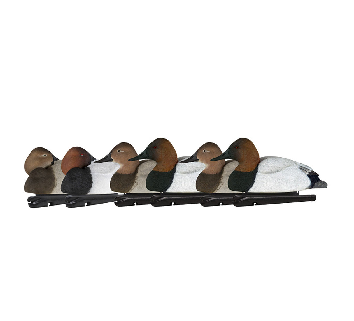 AVIAN X TOPFLIGHT CANVASBACKS