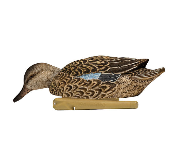 AVIAN X TOPFLIGHT BLUE-WINGED TAIL