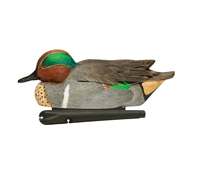 AVIAN X TOPFLIGHT GREEN-WINGED TEAL
