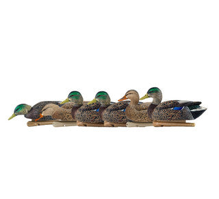 AVIAN-X TOPFLIGHT EARLY SEASON MALLARDS
