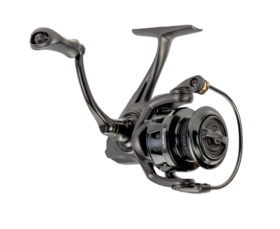 LEW'S CUSTOM SPINNING REEL