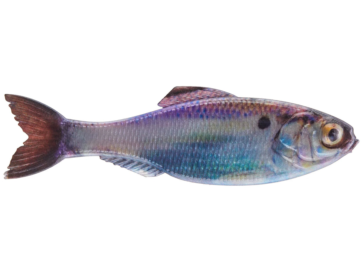 6TH SENSE THE PANORAMA