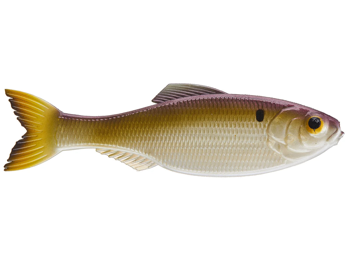 6TH SENSE THE PANORAMA