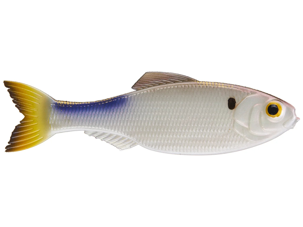 6TH SENSE THE PANORAMA