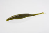 ZOOM BAIT SUPER SALTY SUPER FLUKE