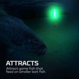 NEBO SUBMERSER 500 LUMEN FISHING LIGHT