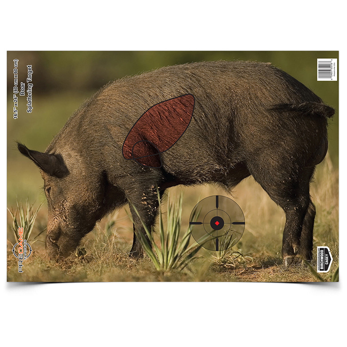 BIRCHWOOD CASEY PREGAME BOAR TARGET