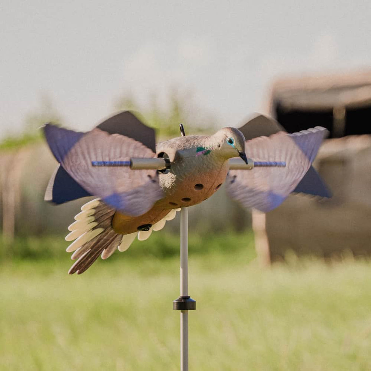 AVIAN X POWERFLIGHT DOVE