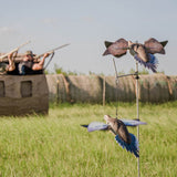 AVIAN X POWERFLIGHT DOVE