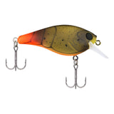 BERKLEY SQUAREBULL LURE