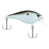 BERKLEY SQUAREBULL LURE