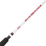 BIG GAME SPINNING COMBO