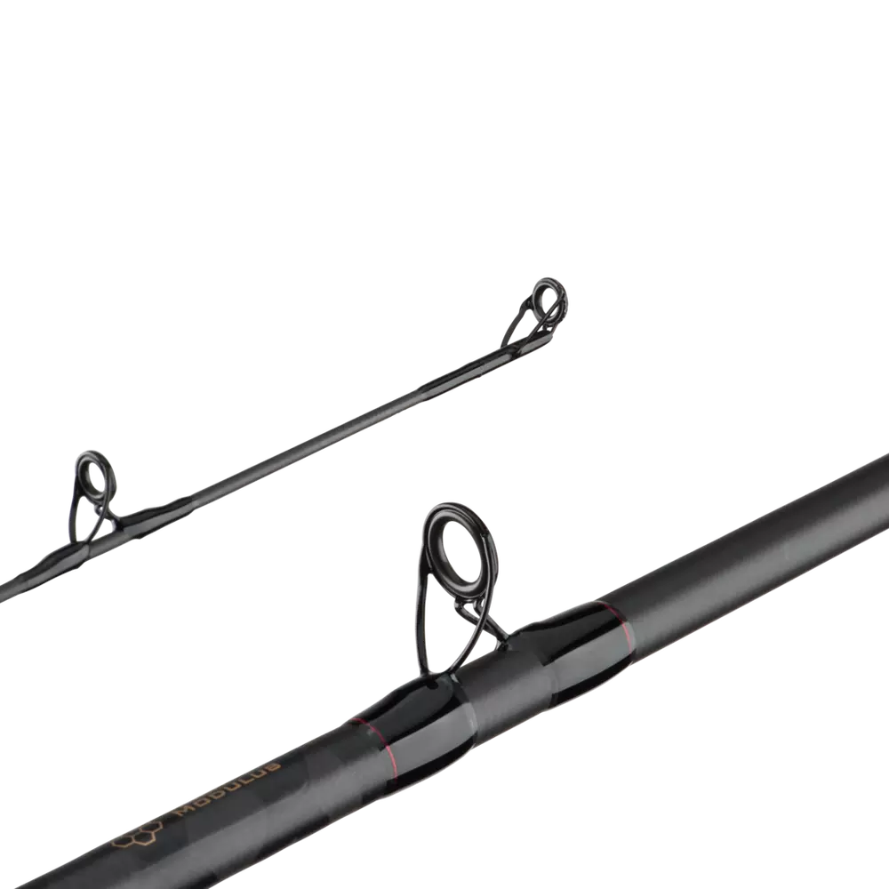 BERKLEY LIGHTING CASTING ROD