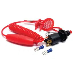 Sierra Ignition Interruption switch