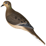 AVIAN X AXP FULL BODY DOVES