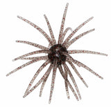 HEAD HUNTER SPIDER MONKEY
