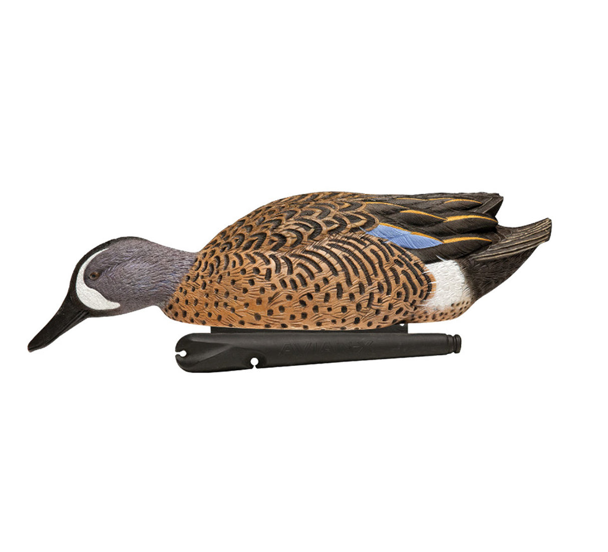 AVIAN X TOPFLIGHT BLUE-WINGED TAIL