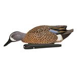 AVIAN X TOPFLIGHT BLUE-WINGED TAIL