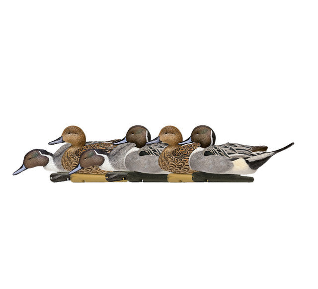 AVIAN X TOPFLIGHT PINTAILS