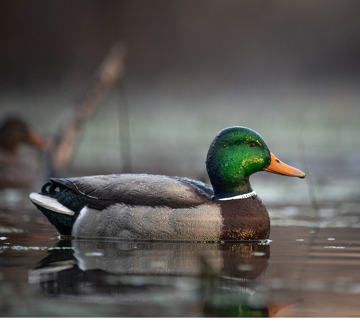 AVIAN X TOPFLIGHT FUSION MALLARDS