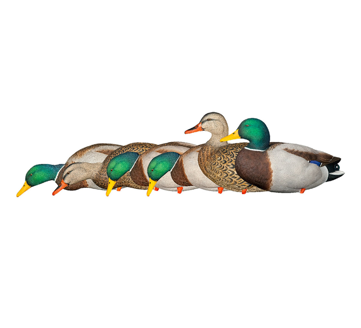 AVIAN X FULL BODY MALLARDS: FUSION PACK