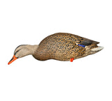 AVIAN X FULL BODY MALLARDS: FUSION PACK