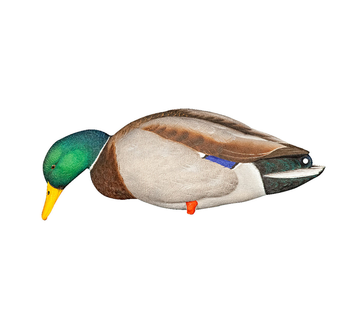 AVIAN X FULL BODY MALLARDS: FUSION PACK