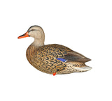 AVIAN X FULL BODY MALLARDS: FUSION PACK