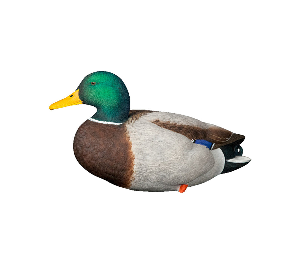 AVIAN X FULL BODY MALLARDS: FUSION PACK