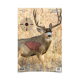 BIRCHWOOD CASEY PREGAME MULE DEER TARGET