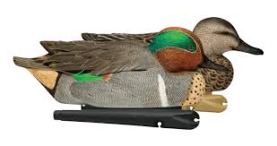 AVIAN-X TOPFLIGHT GREEN WINGED TEAL DUCK DECOYS