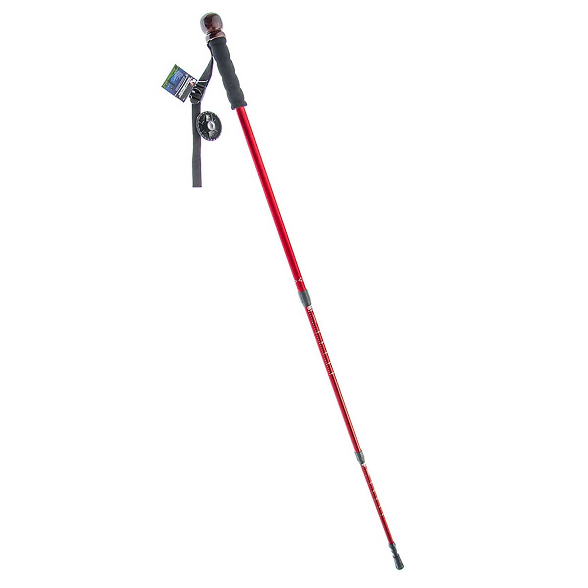 SONA ENTERPRISES COMPASS AND CAMERA MOUNT ALUMINUM HIKING STICK
